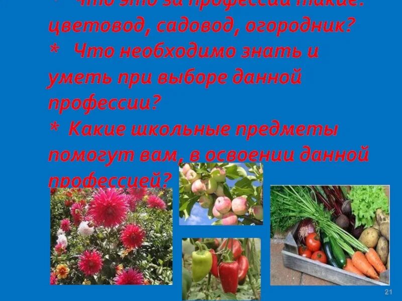 Садовод какую работу выполняют люди этой профессии. Садовод профессия. Памятка садоводу огороднику. Работа садоводом описание. Сообщение о САДОВОДЕ.