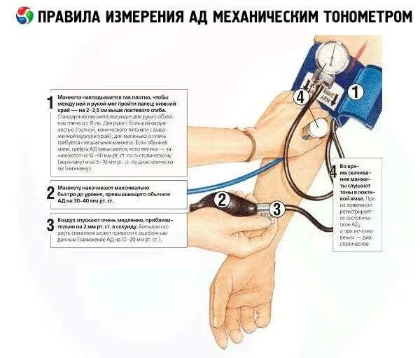 Как понять измерение давления. Измерение артериального давления тонометром пошагово. алгоритм измерения давления механическим тонометром. измерение артериального давления механическим тонометром алгоритм. как правильно измерять давление ручным тонометром.