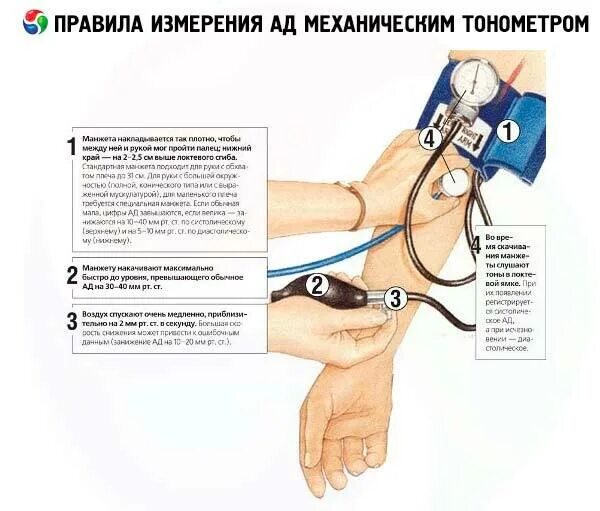 Как мерить давление ручным тонометром самому. Измерение артериального давления тонометром пошагово. Алгоритм измерения давления механическим тонометром. Измерение артериального давления механическим тонометром алгоритм.