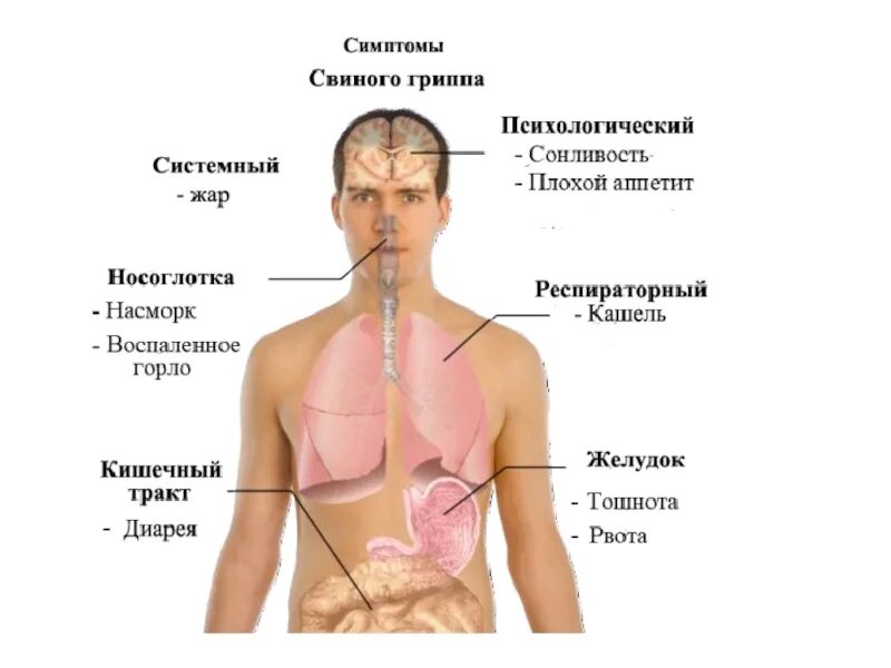 Тошнота после орви