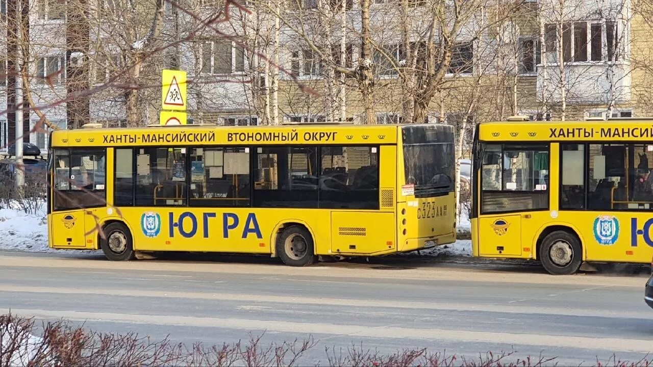 Автобусы Сургут. Общественный транспорт Сургут. Городской автобус. Городской транспорт Сургута.