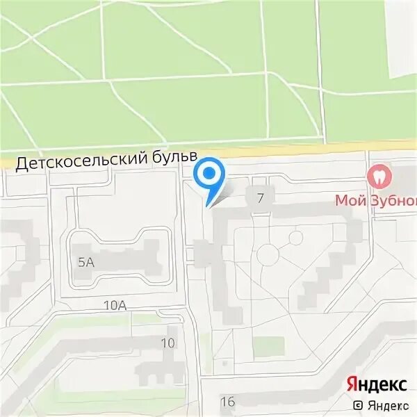Главный мсэ спб. Проведение врачебно трудовой экспертизы. Главный мсэ спб. Эмблема бюро мсэ. Медико социальная экспертиза санкт петербург.
