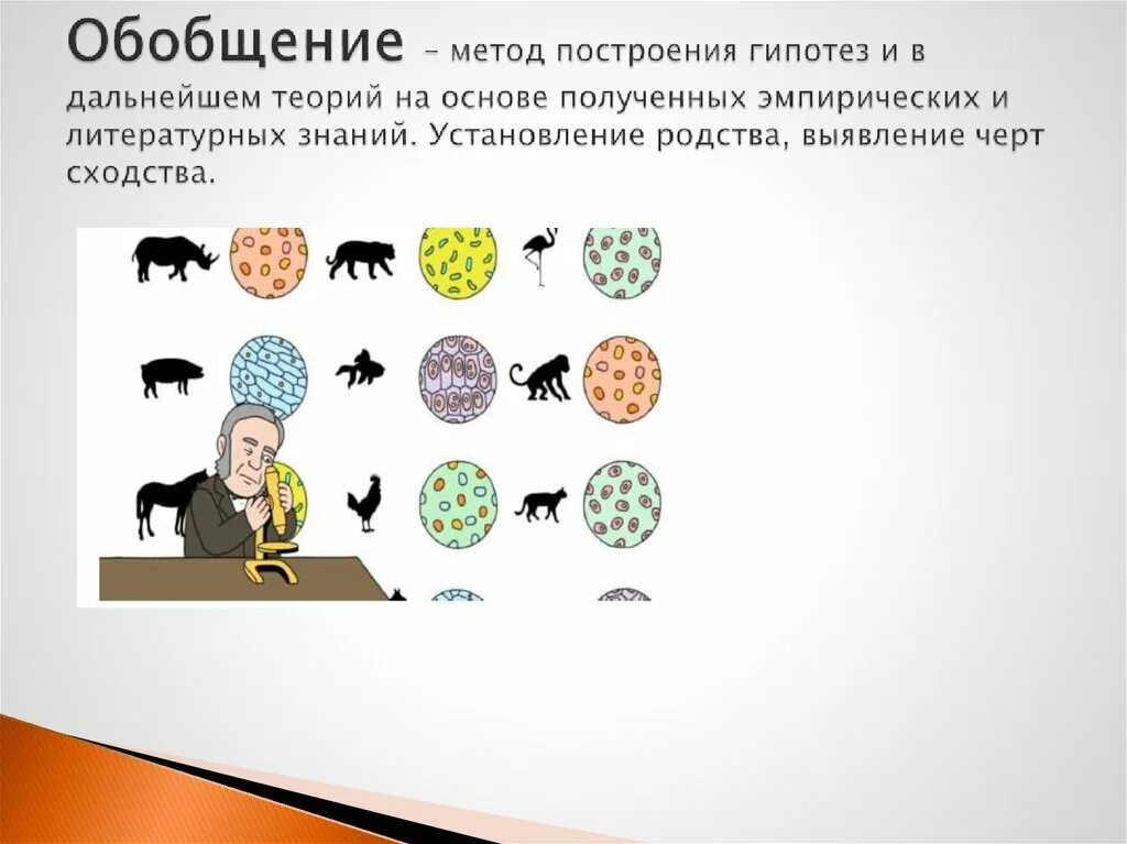 Обобщение в исследовании это. Метод обобщения в биологии. Метод обобщения в биологии примеры. Обобщение примеры метода. Методы исследования обобщение.