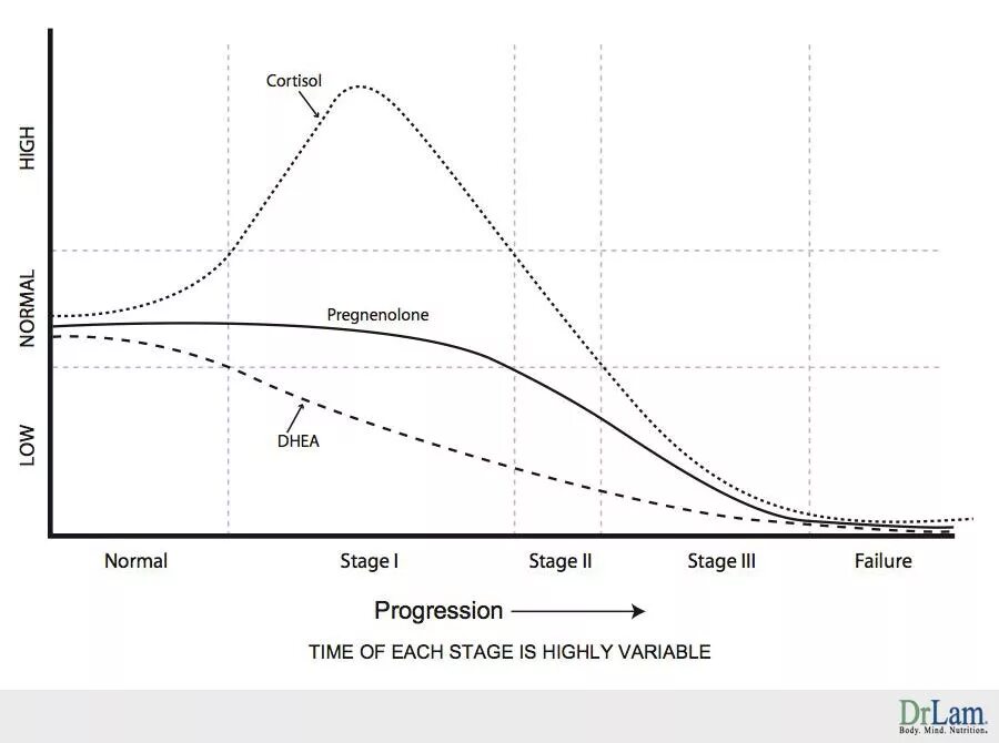 Кортизол и мелатонин график. Кривая кортизола. Кортизол и ДГЭА. Соотношение ДГЭА И кортизола. Дгэа в слюне