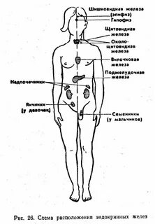 Где находится таля