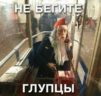 Глупцы не разумом не честностью блистали