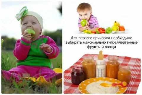 Первые прикормы начать