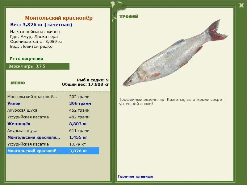 желтощек русская рыбалка 4. описание рыбы желтощек. ленок реальная рыбалка братское водохранилище. желтощек реальная рыбалка. желтощек реальная рыбалка.