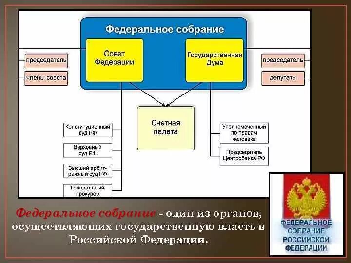 Федеральное собрание палаты схема. Федеральное собрание схема 9 класс. Федеральное собрание схема Федеральное собрание.