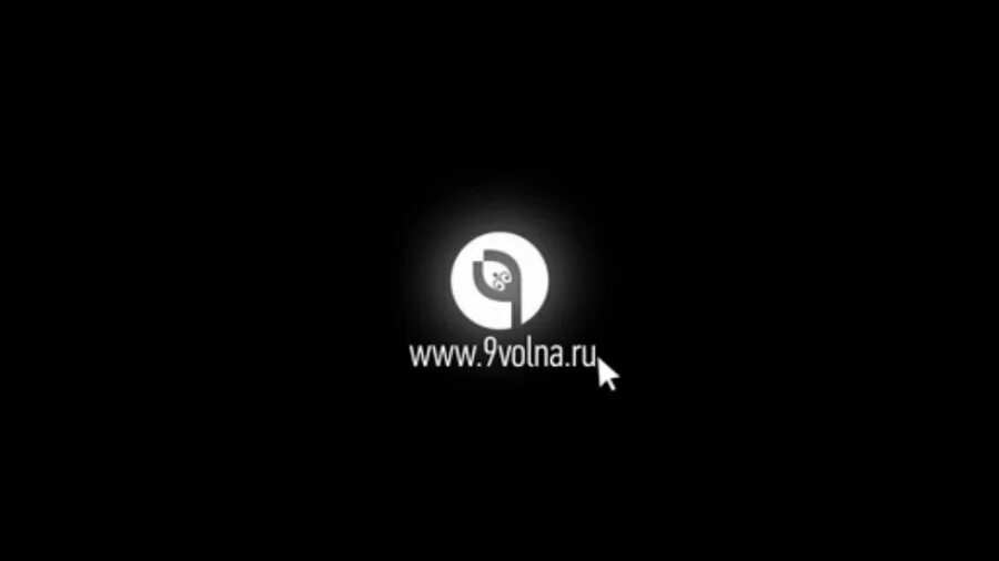 9 волна телефон. 9 Волна. Телеканал 9 волна. Логотип канала 9 волна. 9 Телеканал девятая волна.