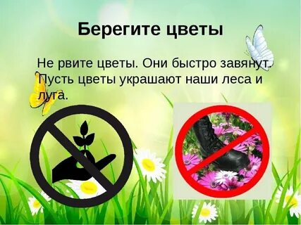 Беречь это правило
