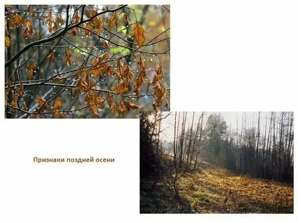 Русский язык 2 класс поздняя осень