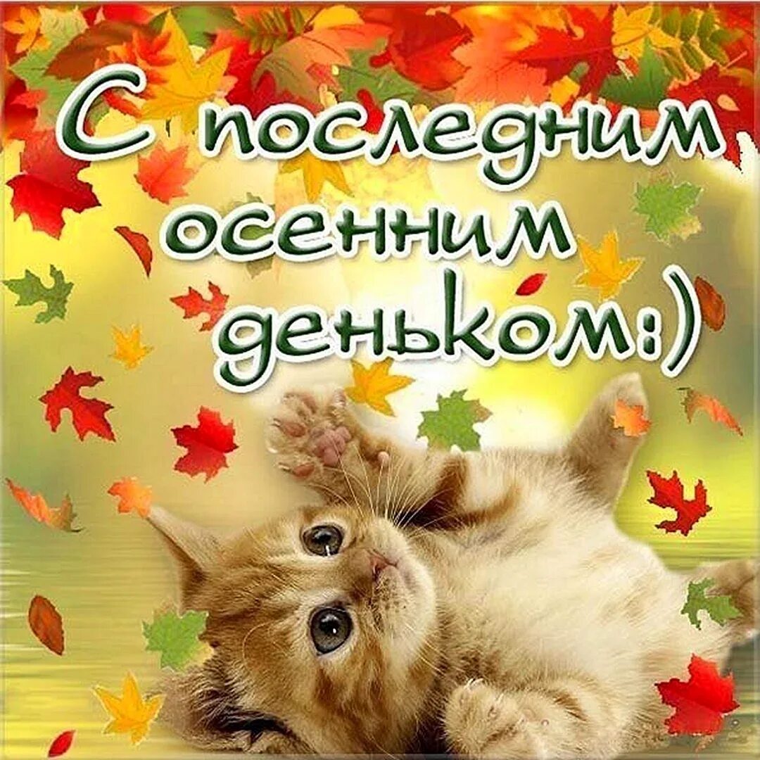 Последние дни картинки. С последним днем осени. Спослед ним днем осенит. С последнениим днем ОС. С последним днём осениии.