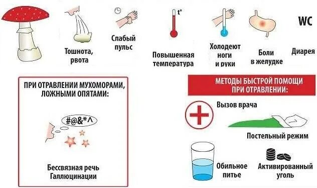 Как оказать первую помощь при отравлении грибами. Отравление ядовитыми грибами первая помощь. отравление грибами симптомы и признаки. меры при отравлении грибами.