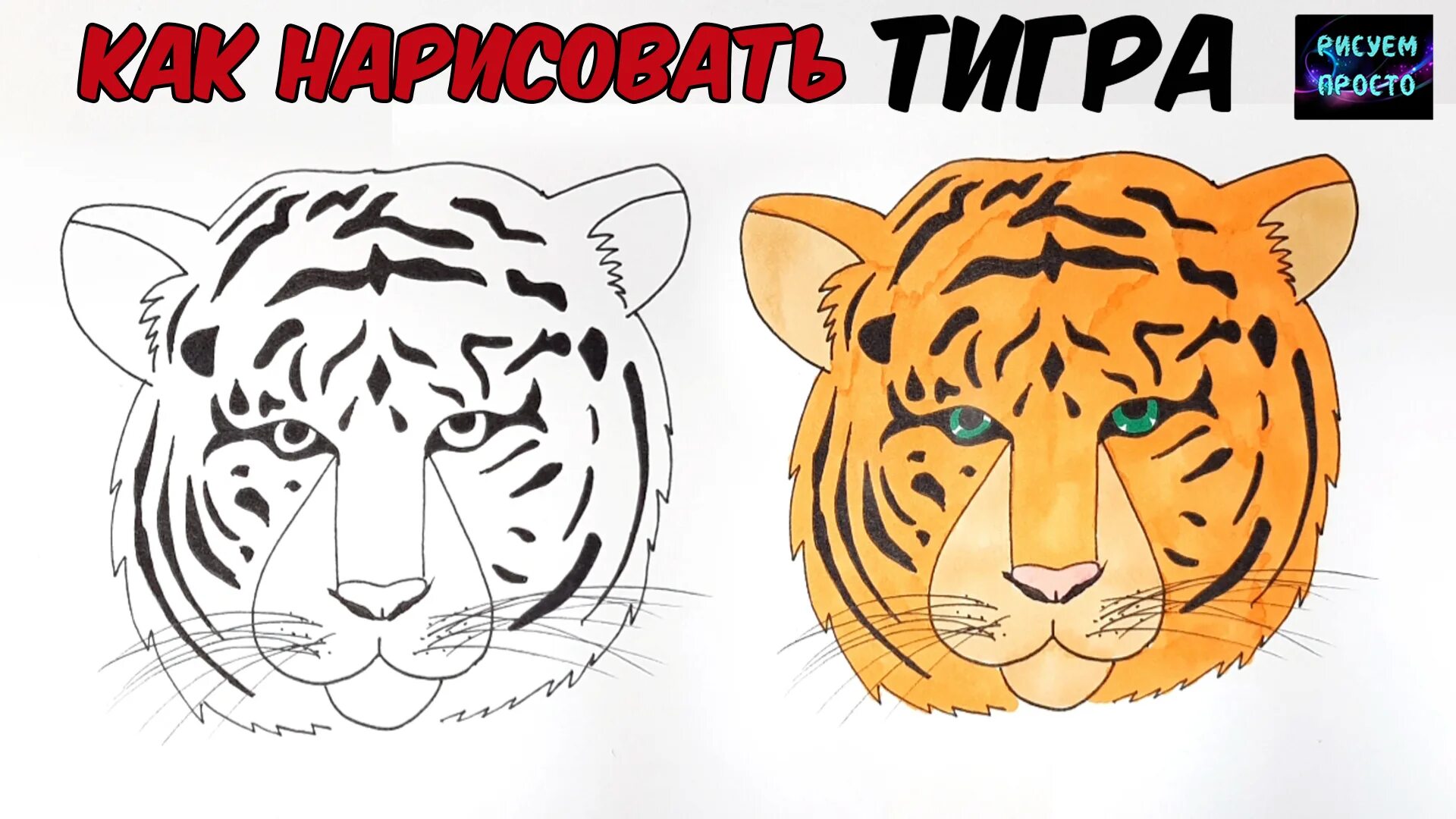 Тигр поэтапно для детей. Нарисовать тигра. рисунок тигра для детей поэтапно. нарисовать год тигра 2025. как нарисовать тигра на новый год 2025.