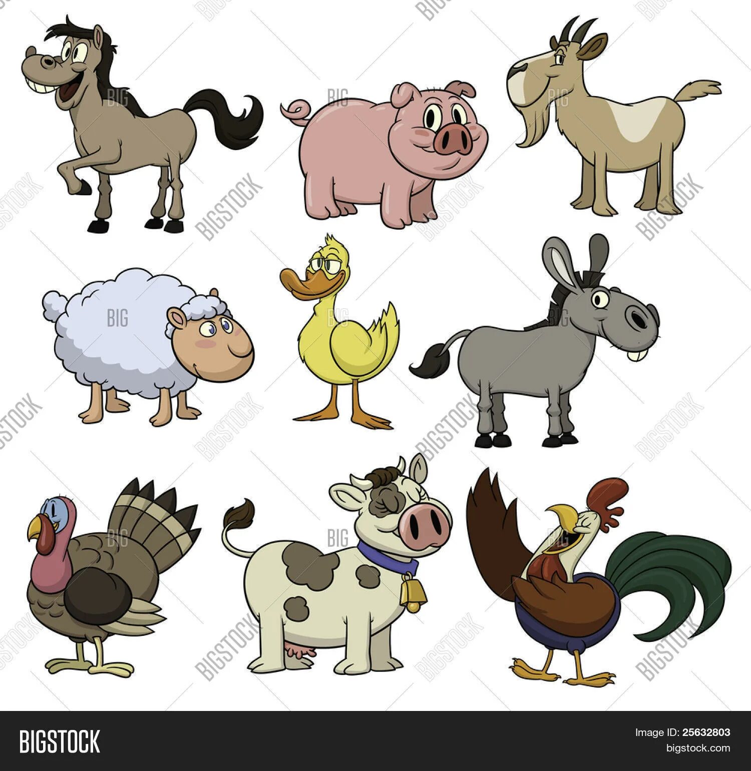 Петух корова лошадь. Изображения коровы свиньи коты собаки. Корова свинья курица. Кошка..собака..корова..коза..свинья..лошадь..овца. Корова, коза, собака, лошадь, петух, утка и овца.
