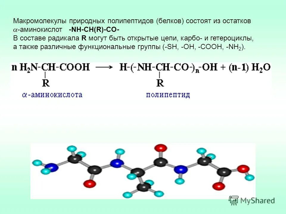 полипептиды состоят из остатков. пептиды и полипептиды. полипептидное строение белков. пептиды. полипептиды состоят из остатков.