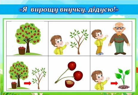 Пересказ рассказа в сухомлинского яблоко и рассвет