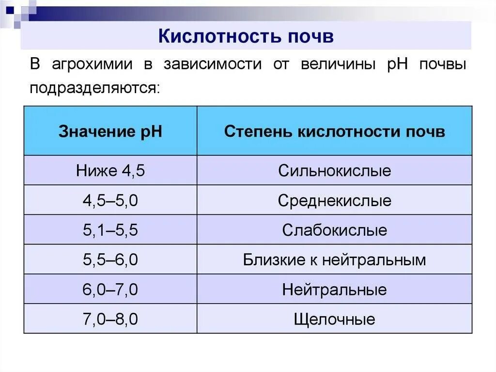 Сколько должно быть ph