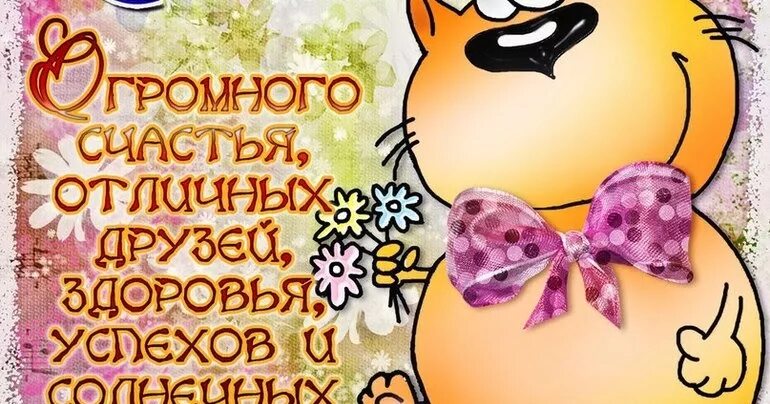 Поздравить через ватсап. Открытки с днём рождения для ватсапа. поздравления с днём рождения девушке.
