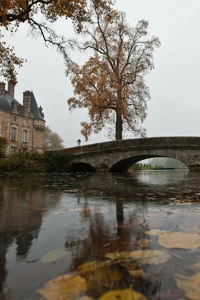 Left bridge