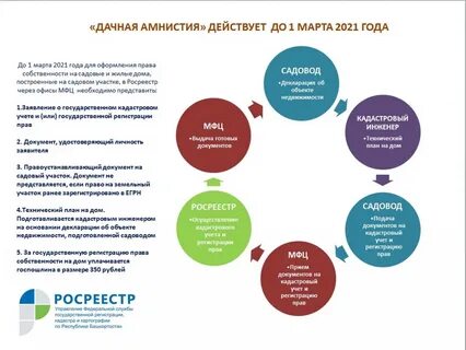 Законопроекты 2021 года