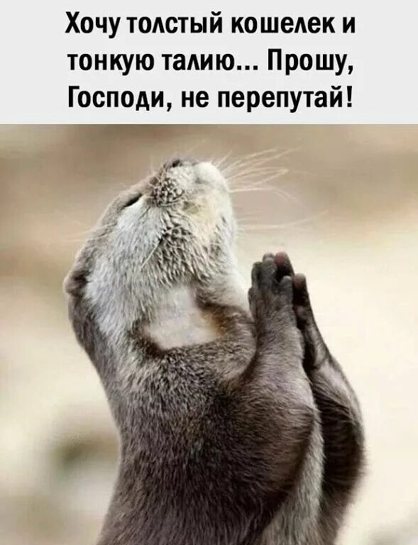 Господи дай всем. Боже, дай мне силы, терпения, и, на всякий случай, 42 миллиона долларов!. всем терпения. боже дай мне сил и терпения. открытка терпения и сил.