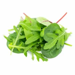 Руккола и шпинат