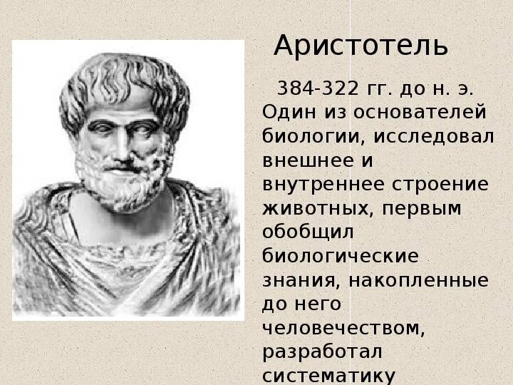 Э. Аристотель биолог. Сообщение о аристотеле. Аристотель его вклад. Проект аристотель.