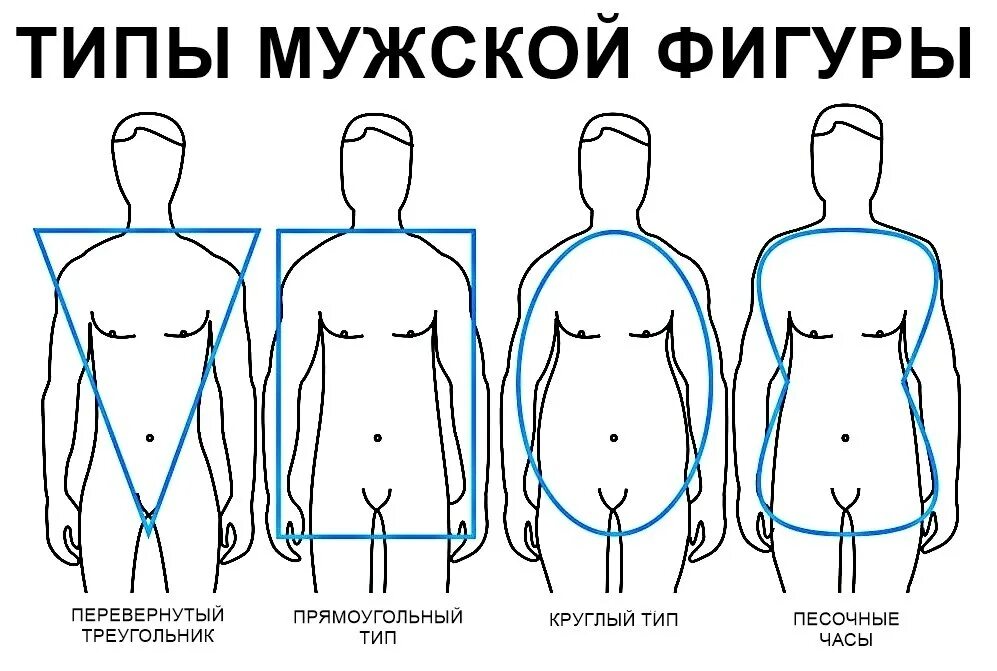 Типы фигур. Типы мужских фигур. Определение типа фигуры. Типы фигур у женщин. Калькулятор типа телосложения