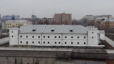 Сизо г