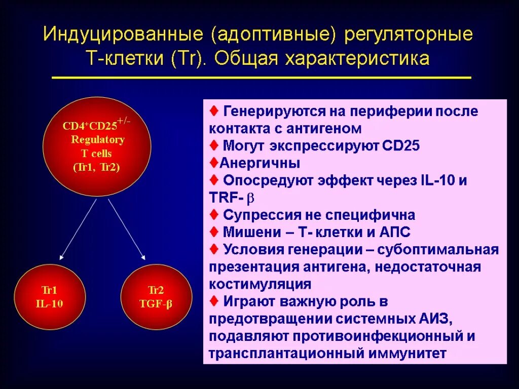 Регуляторные т-клетки функции. Функцией т регуляторных клеток является. Регуляторные т-клетки образуются. Регуляторные т клетки