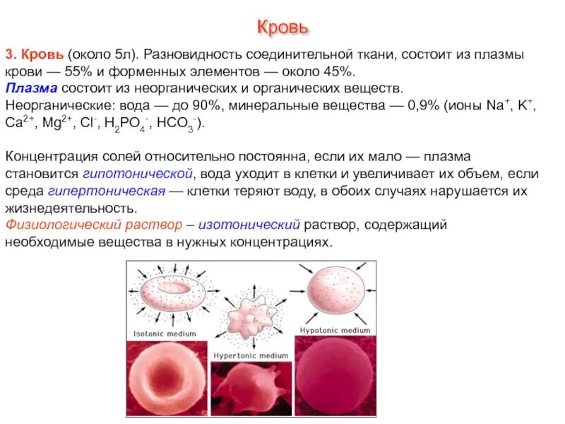 Плазма состоит из. Соотношение плазмы и форменных элементов крови. плазма крови строение и функции. соотношение плазмы и форменных элементов крови составляет. строение плазмы крови человека.