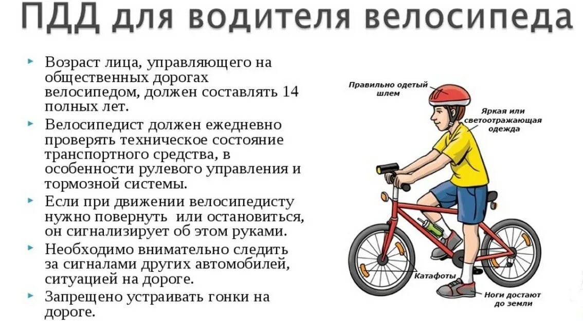 В каком направлении должен двигаться пользователь электросамоката
