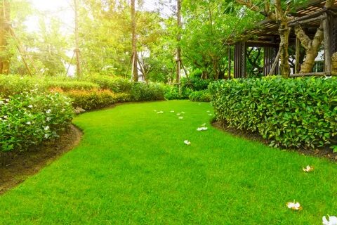 Grass well