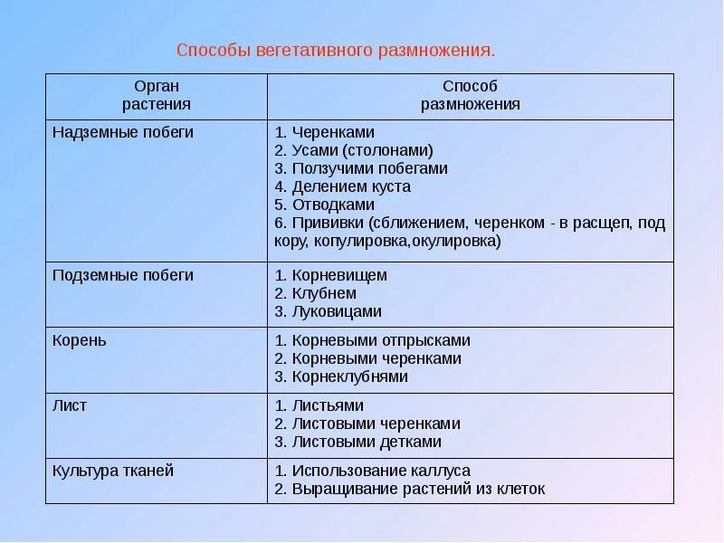 Схема полового размножения животных. Размножение растений и животных. Бесполое размножение животных примеры. Половое и бесполое размножение животных. Формы бесполого размножения у многоклеточных.