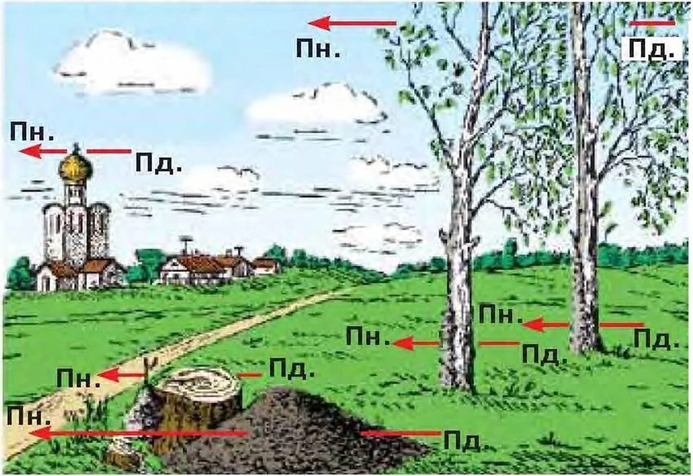 Природные признаки сторон света. Ориентирование на местности. Ориентирование по горизонту. Ориентирование на местности по горизонту. Определение сторон горизонта на местности.