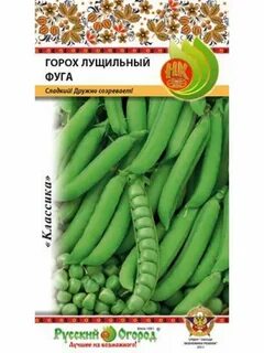 Русский горох