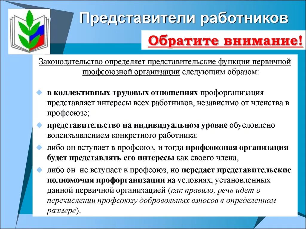 Обязанности представителя организации. Ответственность представителей работников. Основные обязанности представителя работника. Обязанности представителей работников.