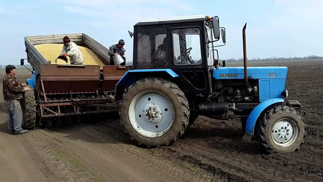 Мтз 80 и мтз 82. Трактор - т мтз 80. Трактор мтз 80 для 150000. 1 с куном 2015 года. В.