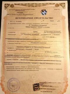 Срок ветеринарного сертификата