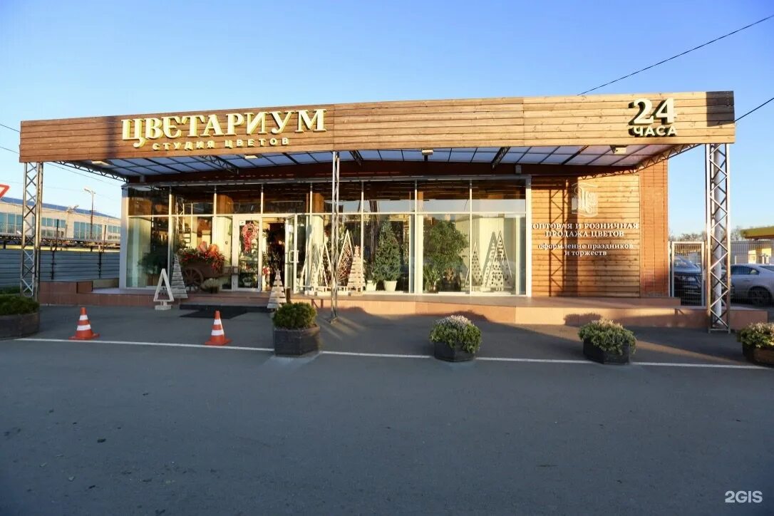 Цветариум краснодар. Цветариум краснодар. Магазин цветов краснодар. Цветариум краснодар. Цветариум сальск.