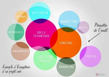 Brand search 1