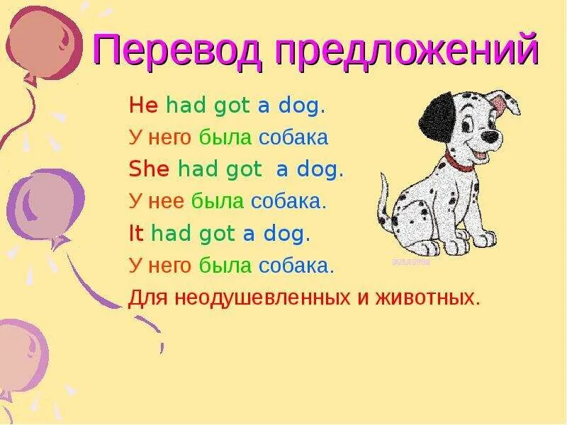 Собака на английском языке. Собака в английском it. Предложение на английском у меня нет собаки. Как на английский языке собака. Скажи по английски собака