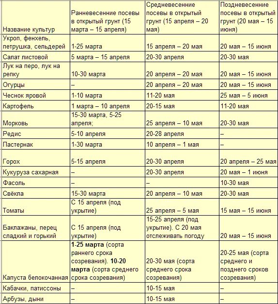 Когда что сажать на огороде в открытый грунт таблица. Таблица посева на рассаду и в открытый грунт. Сроки посева овощных культур в открытый грунт. Таблица когда что сажать в открытый грунт.