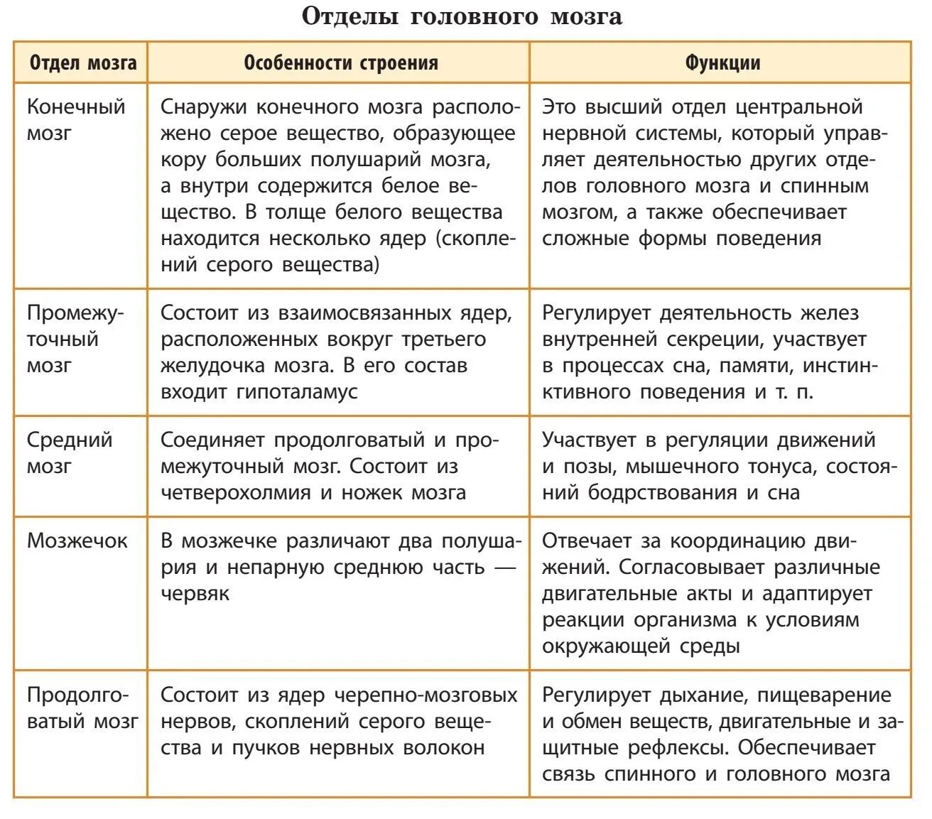 Отделы головного мозга особенности строения и функции таблица. Строение и функции отделов головного мозга. Строение и функции головного мозга таблица 8 класс биология. Строение и функции отделов головного мозга биология 8 класс. Таблица 5 биология 8 класс