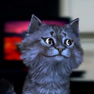 Коте лео