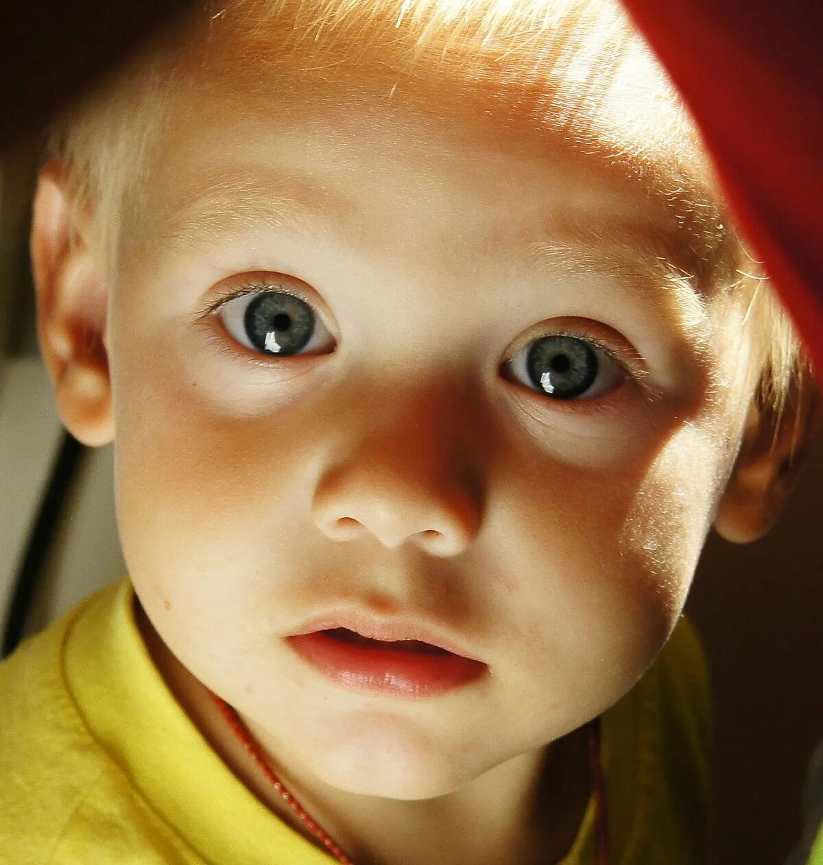 Глаз человека. Широко открытый глаз. Зеленые глаза мужские. Глаза. Человеческий глаз.