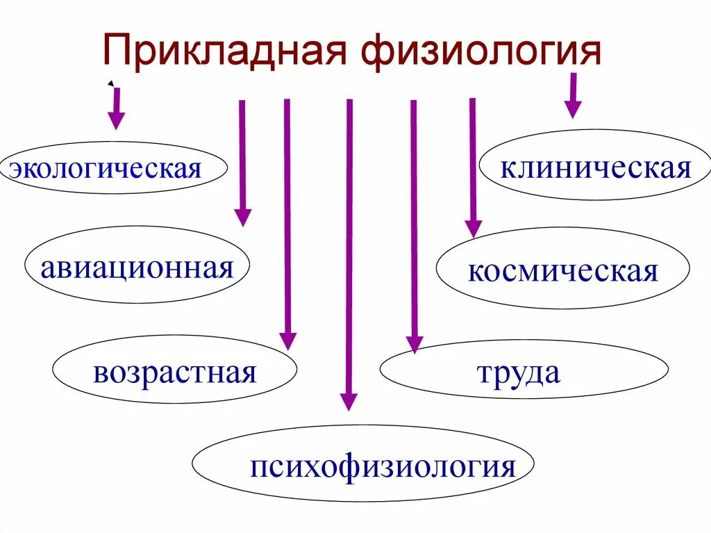 Направление физиологии. Направления физиологии человека. Основные направления физиологии. Основные направления в современной физиологии. Задачи современной физиологии растений.