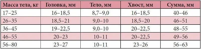 Какая норма селезенки. Нормы показателей поджелудочной железы по УЗИ. Норма магния в крови ммоль/л. Поджелудочная железа Размеры норма у взрослых УЗИ. Норма магния в крови у женщин после 60 лет таблица.